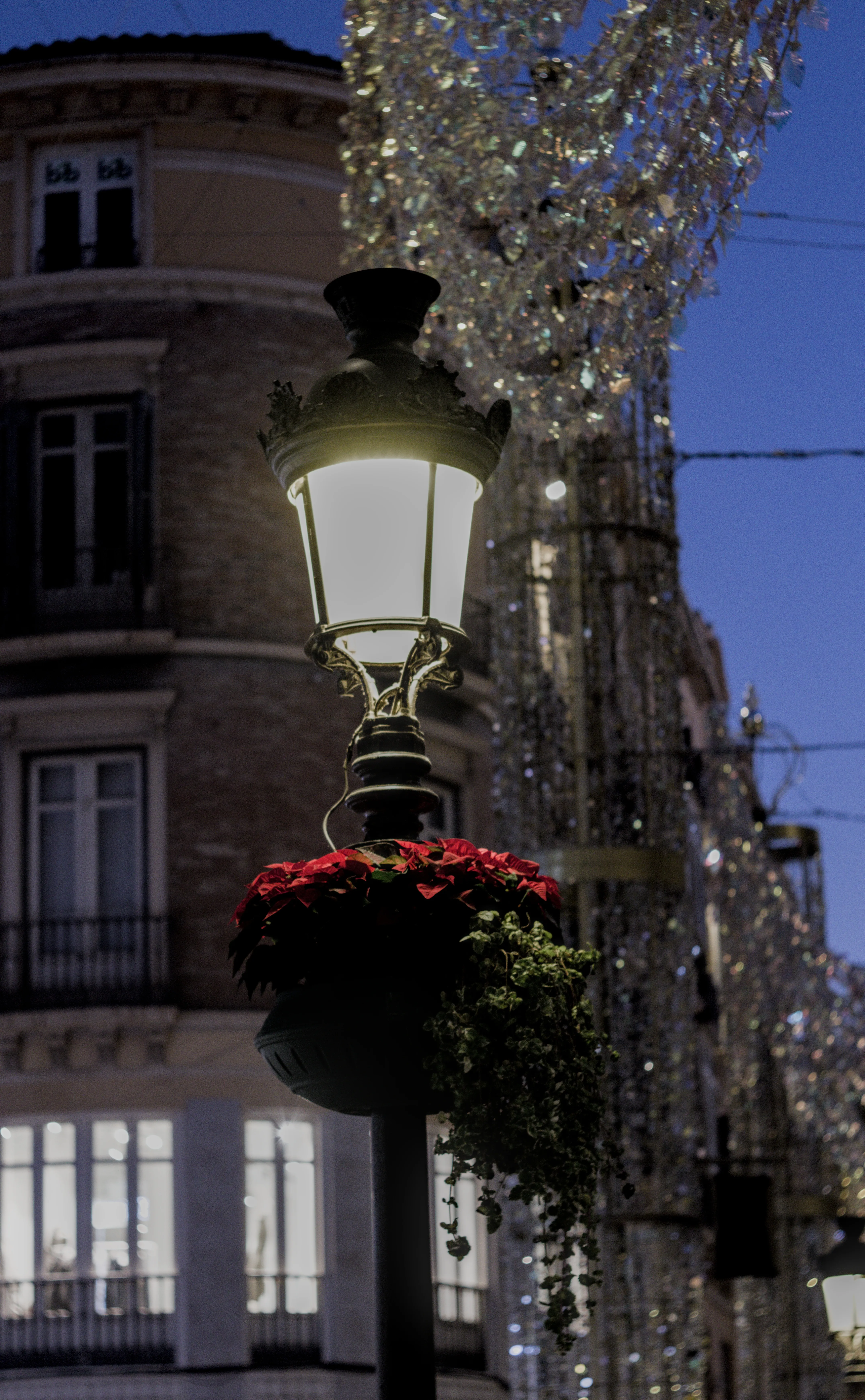 Zenith Helios-77M-4 1,850 (VOMZ) - _I4A6337.webp